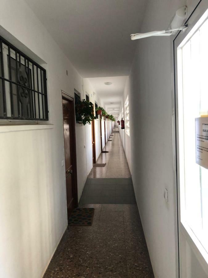 베니돔 17 Calle Lepanto 아파트 외부 사진